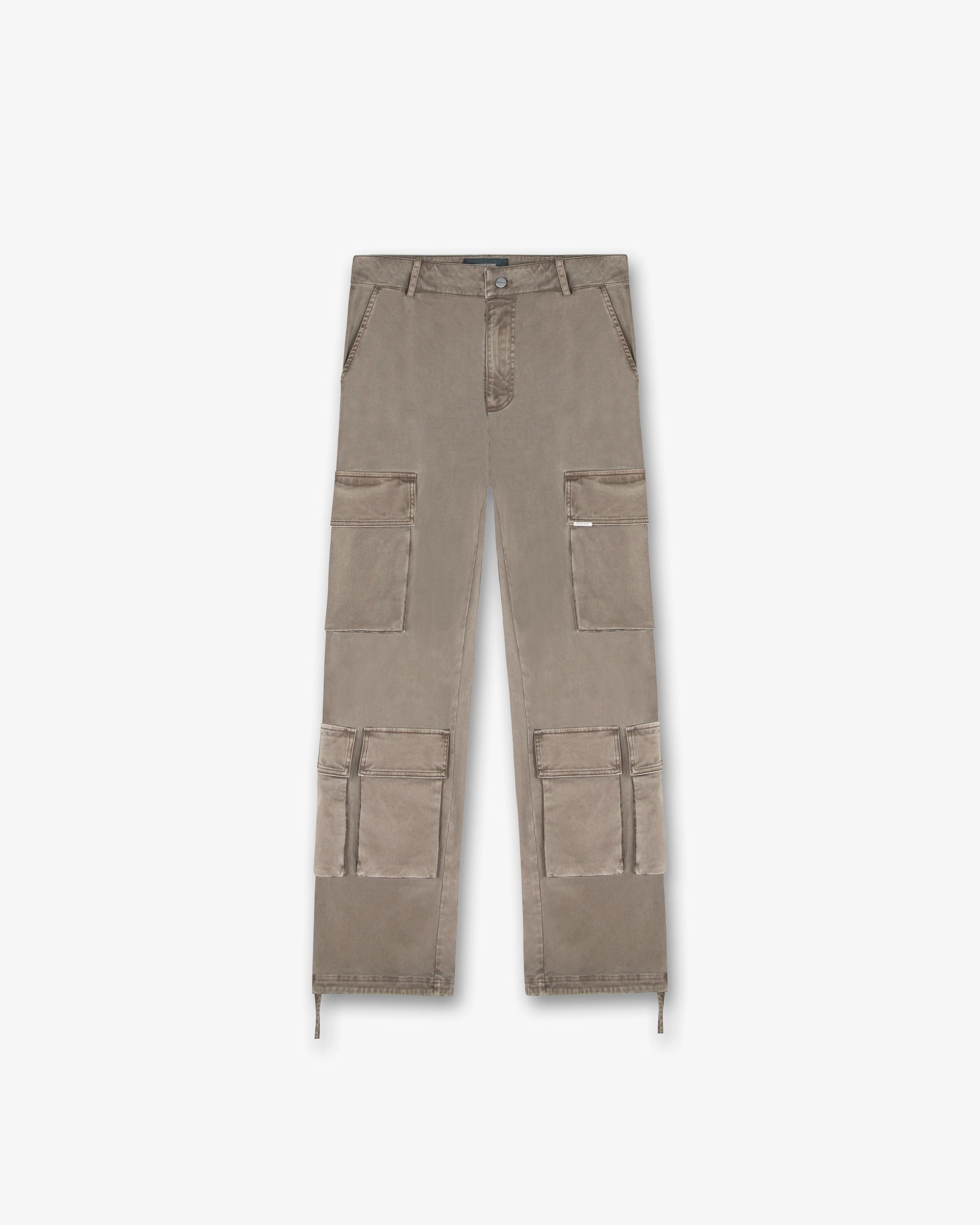 Fashion-Forward Baggy Cargo Pant - Dawn