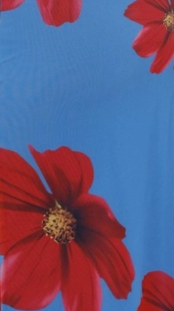 Eisa One Shoulder Maxi Dress - Blue / Red Floral Stylish Comfort