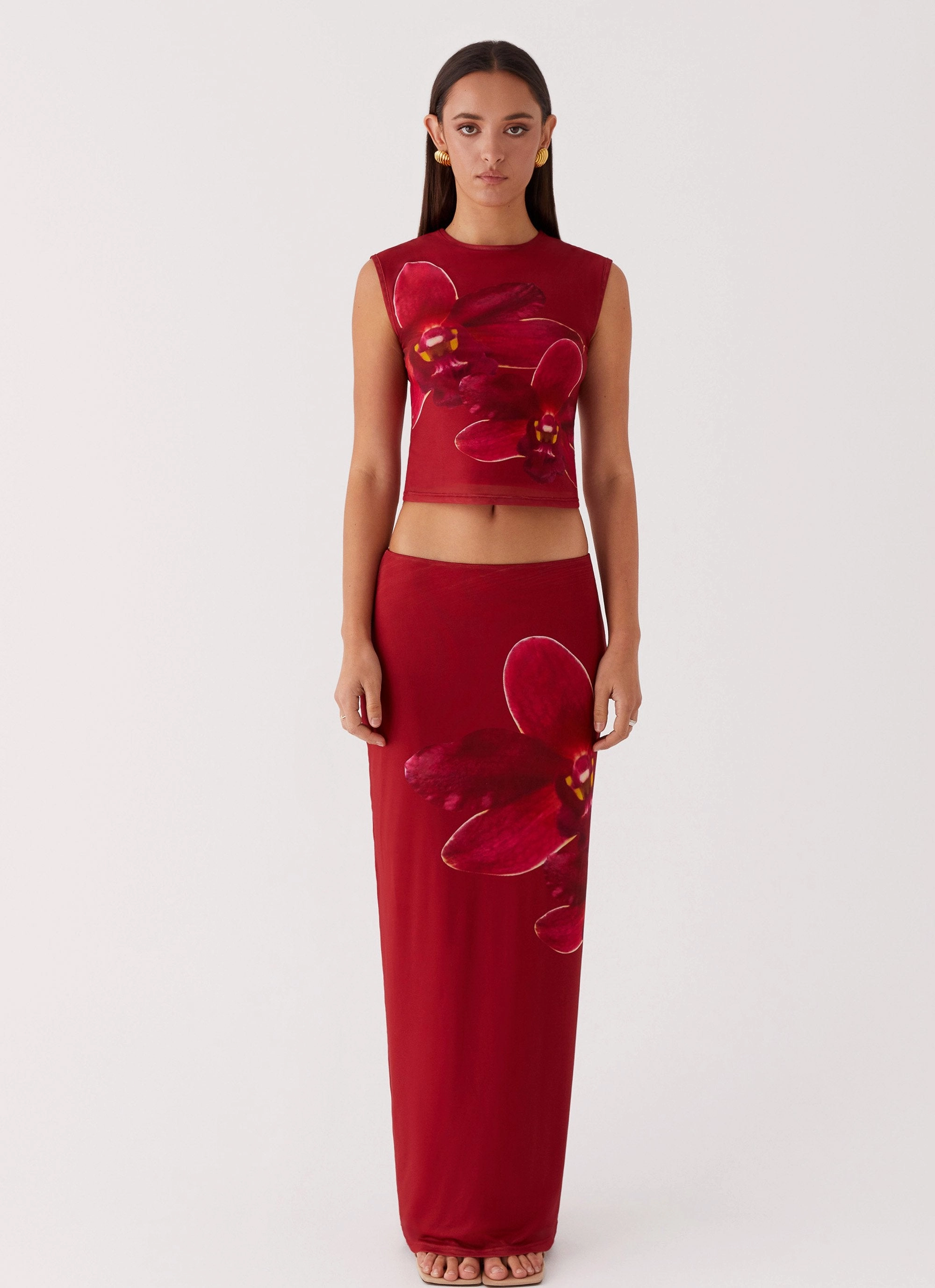 Waiting For Dawn Mesh Maxi Skirt - Rosa Anti Static Lining