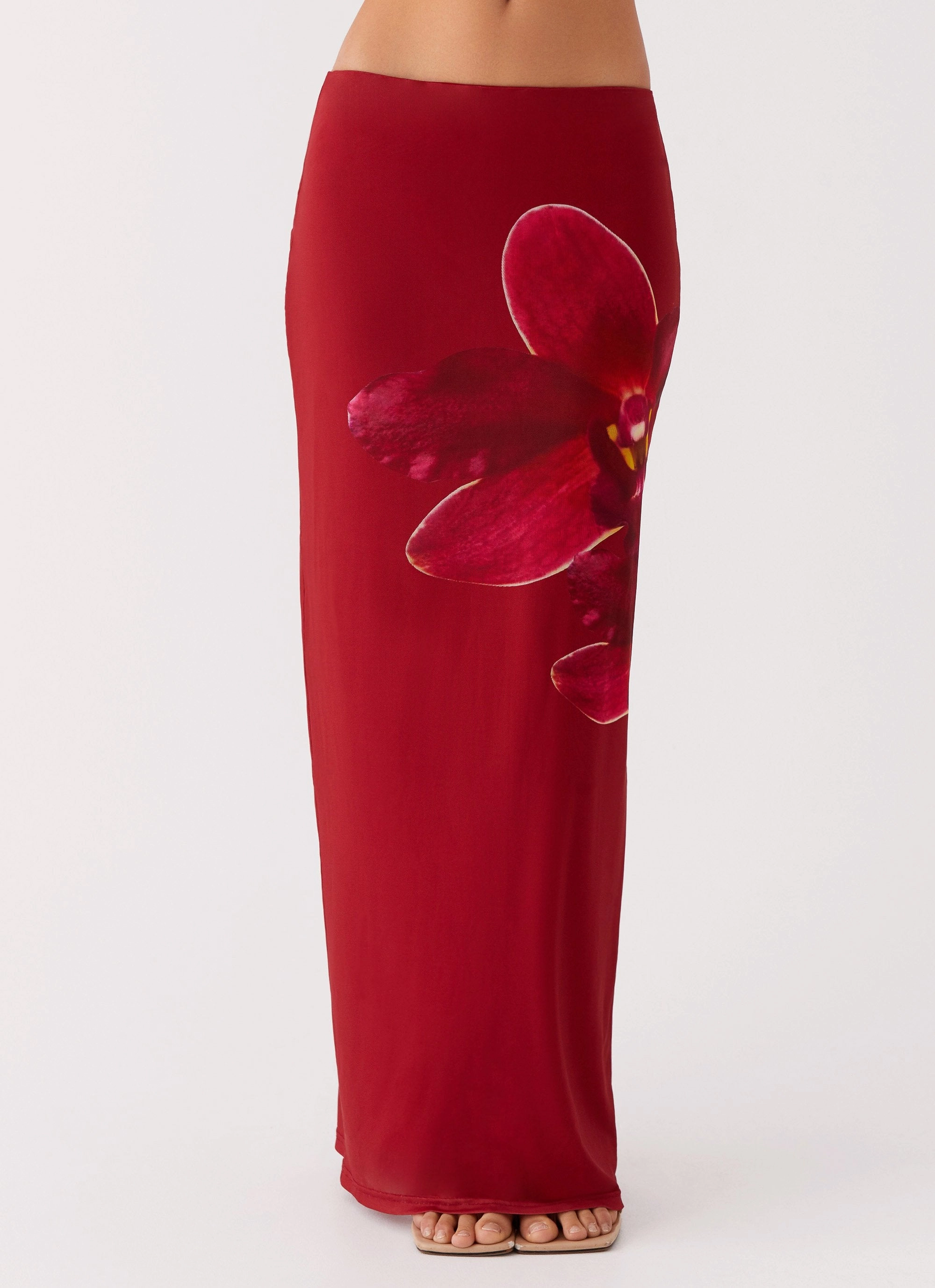 Waiting For Dawn Mesh Maxi Skirt - Rosa Date night Tonal Look
