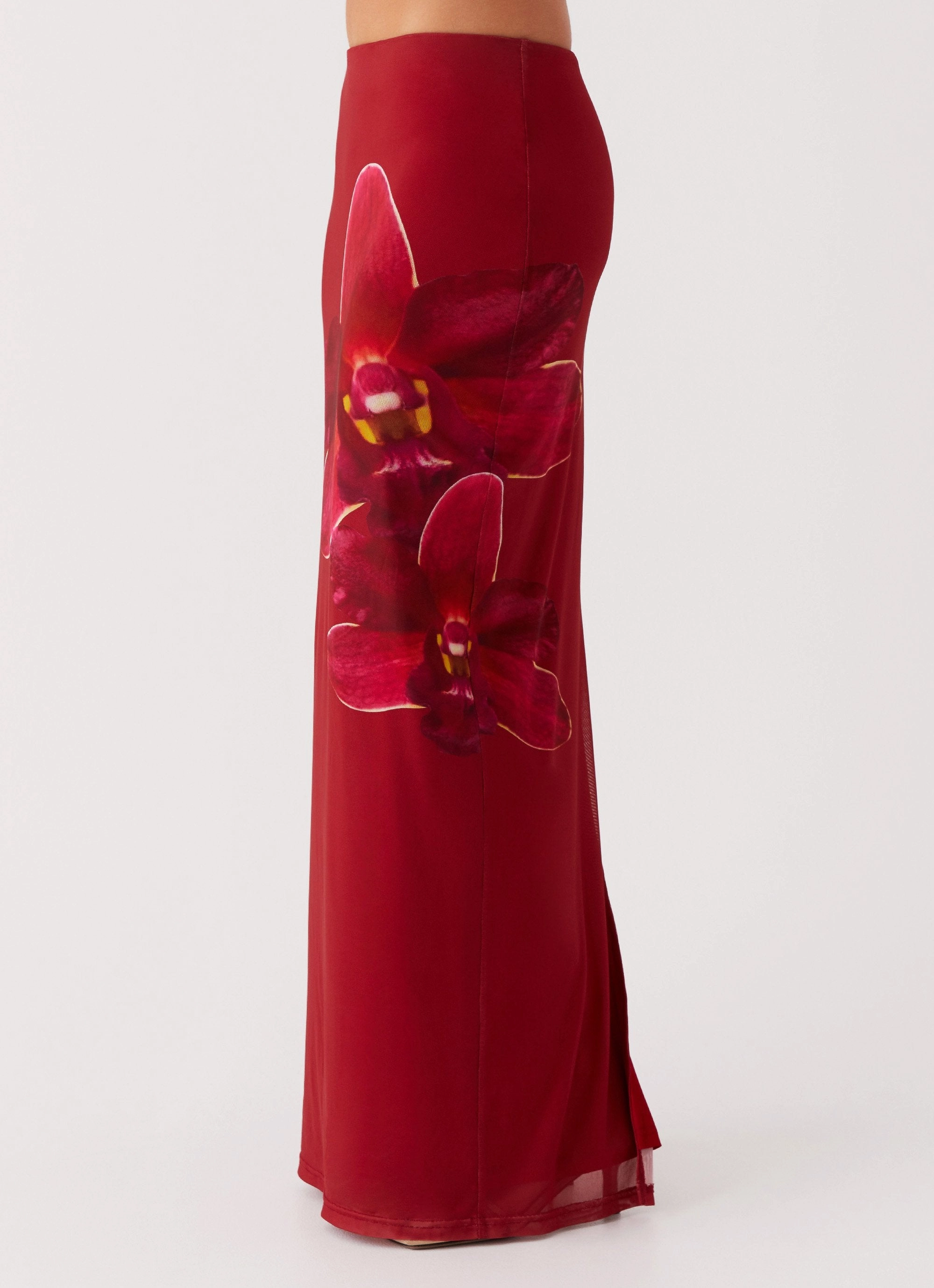 Waiting For Dawn Mesh Maxi Skirt - Rosa Bold Accent