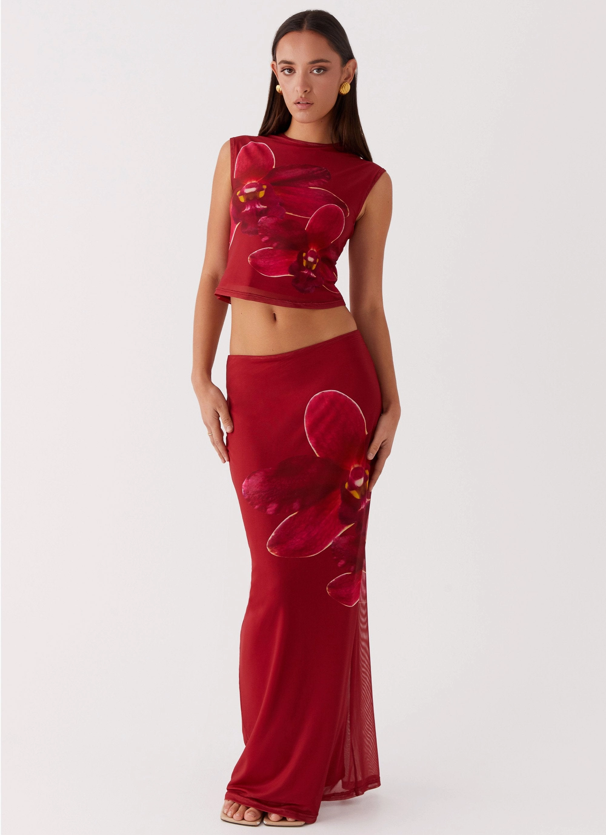 Waiting For Dawn Mesh Maxi Skirt - Rosa Fringe Detail